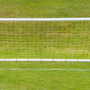 Samba 8' x 4' TRAINER Goal